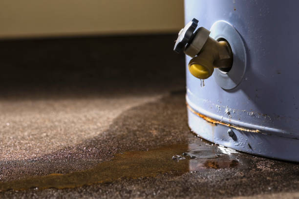 Sewage cleanup and water damage restoration in Ottawa, OH