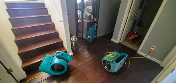 Best Sewage cleanup and water damage restoration  in Ottawa, OH