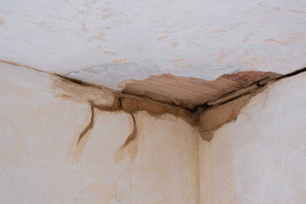  Ottawa, OH Water damage restoration Pros