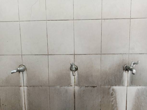 Best Local water damage restoration  in Ottawa, OH