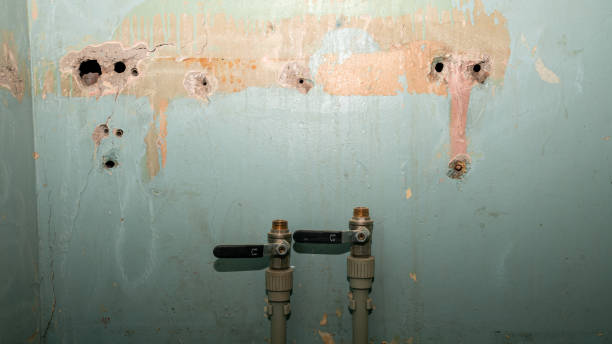 Best Carpet water damage restoration  in Ottawa, OH