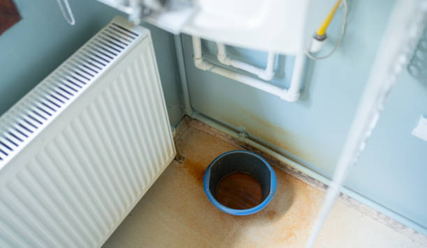 Best Water damage cleanup near me  in Ottawa, OH