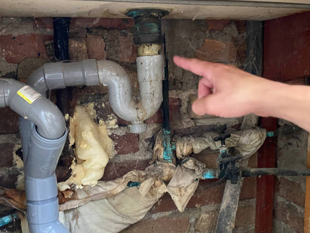 Best Sewage cleanup and water damage restoration  in Ottawa, OH